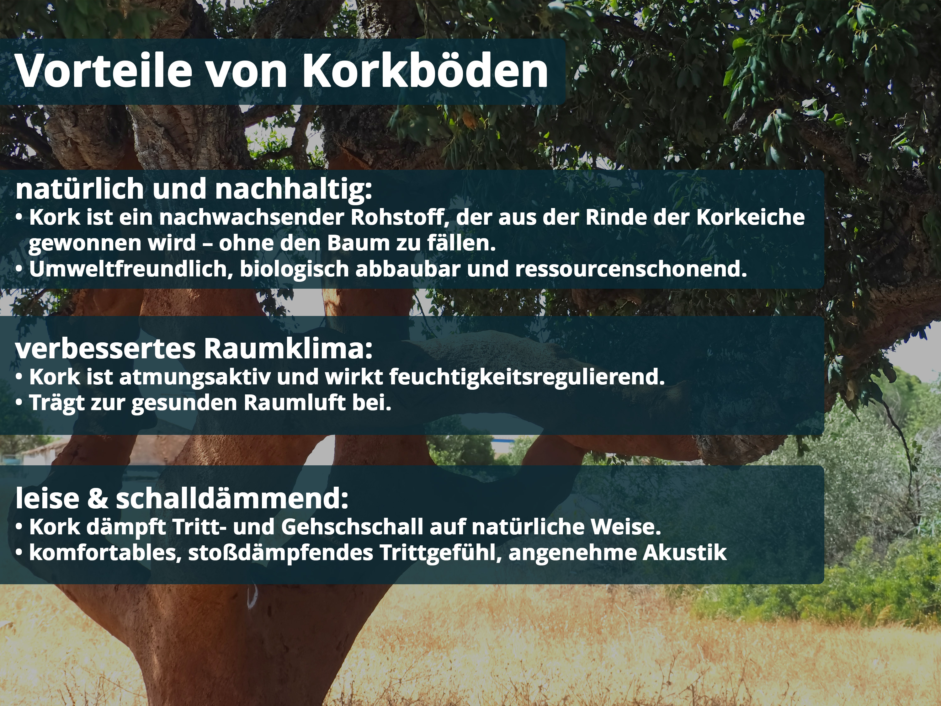 TRECOR® Klick Korkboden Merida - 10 mm Stark - Farbe: Natur