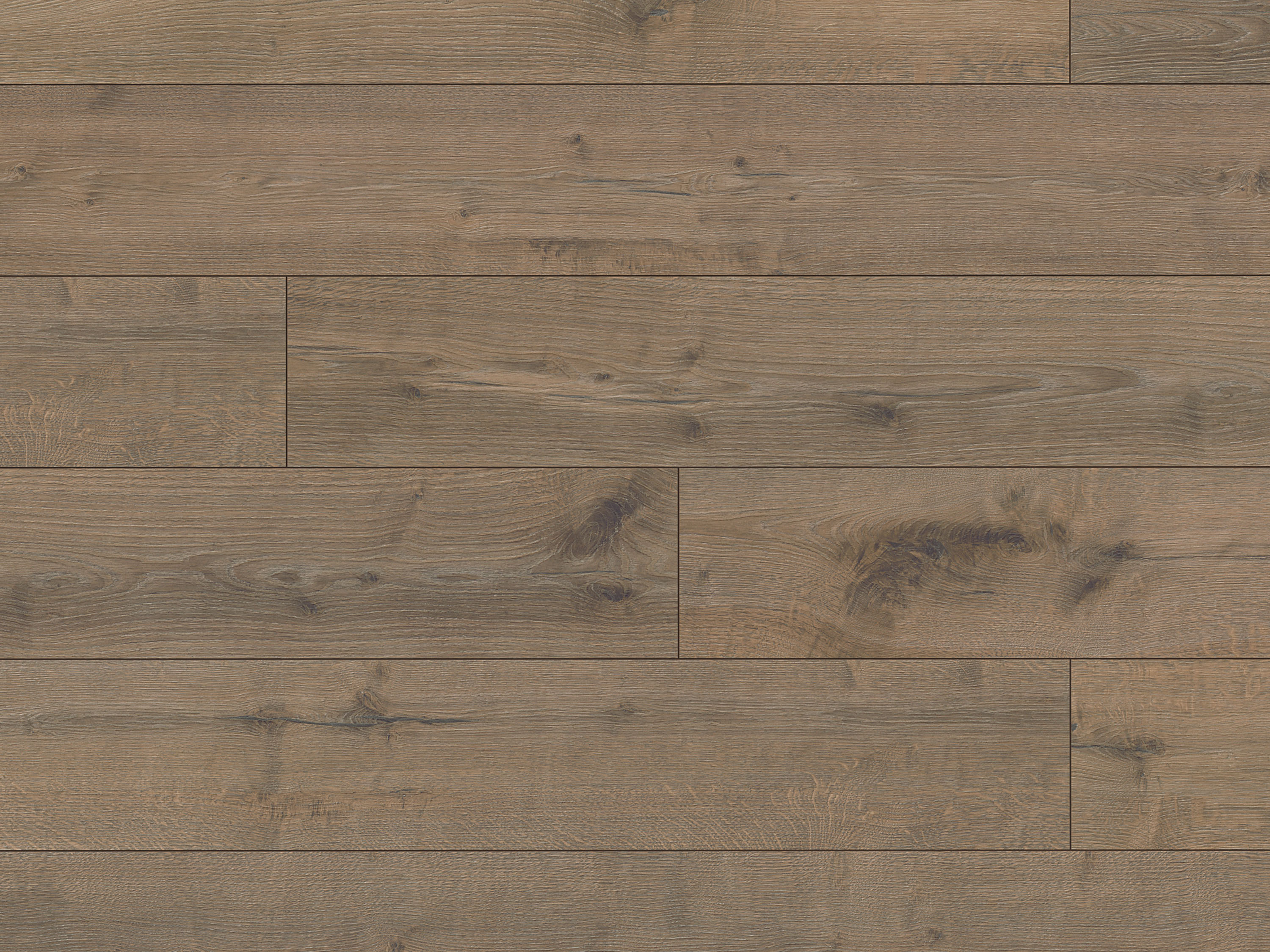 Klick-Designboden Hare Tegernsee Oak K664 Organic Clever Silent Long 7 mm, integr. Trittschalldämmung