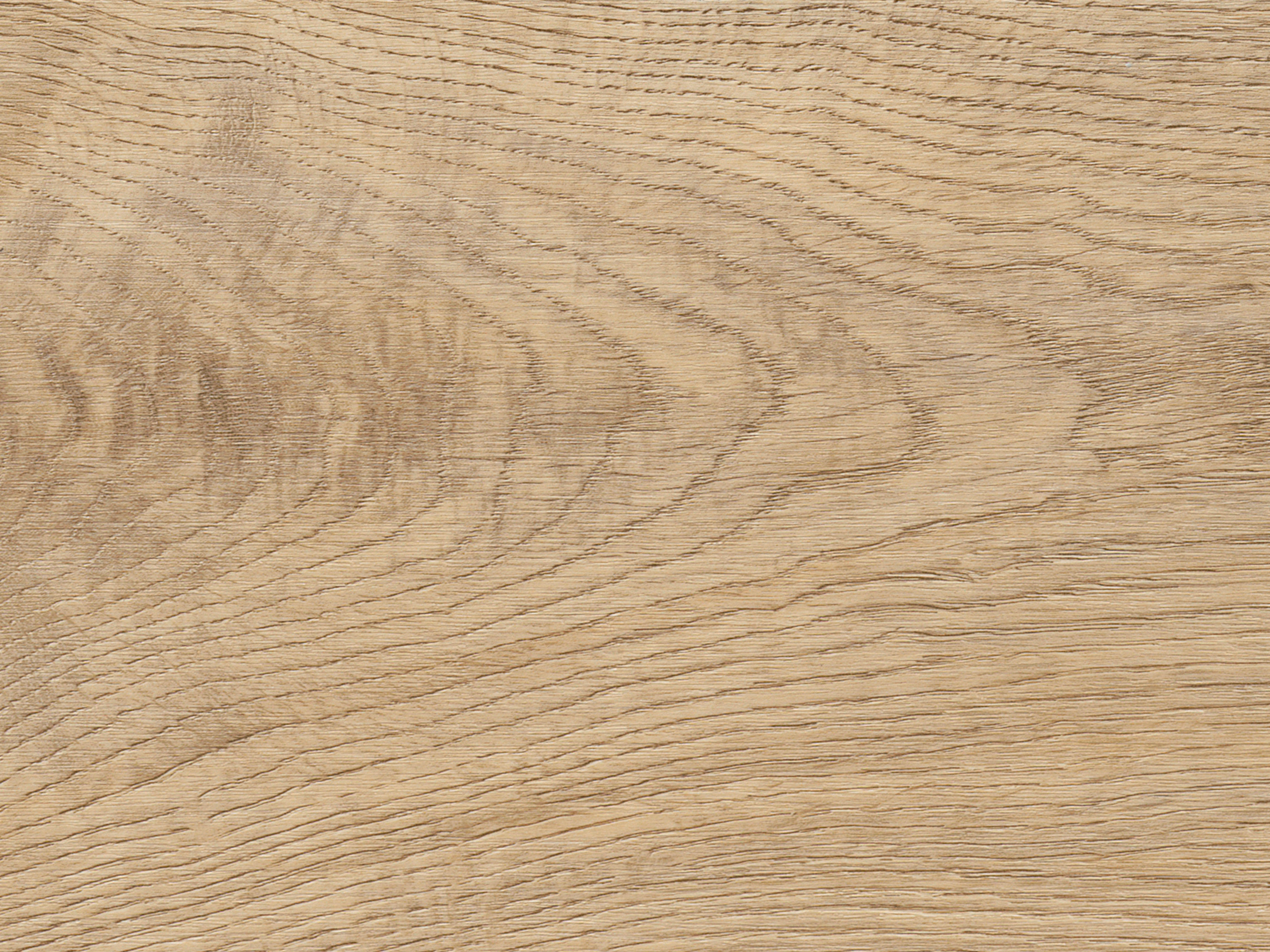 Kork Designboden Wood Basic - Arabian Desert Oak, digitalbedrucktes Korkfurnier