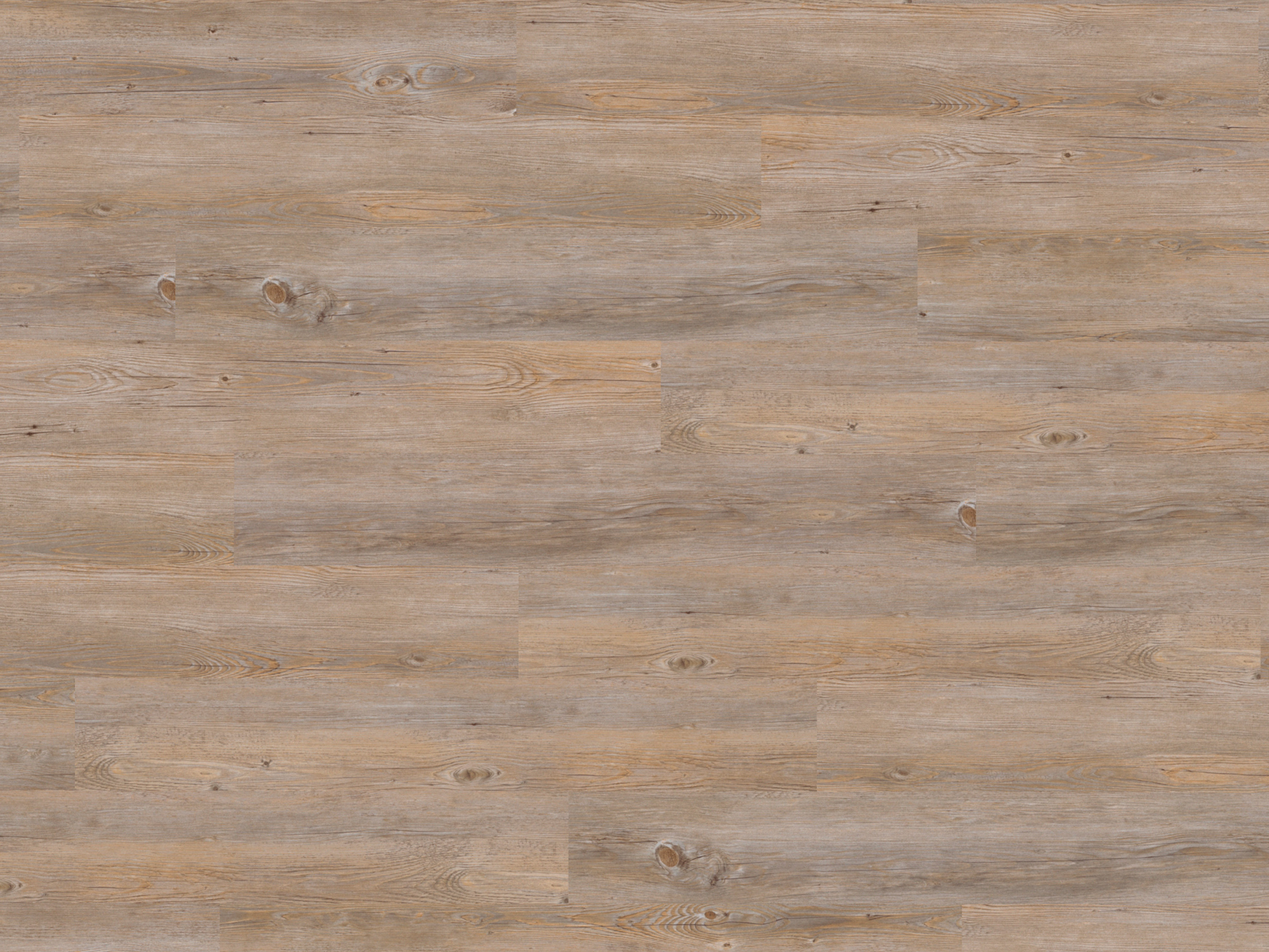 Kork Designboden Wood Basic - Alaska Oak, digitalbedrucktes Korkfurnier