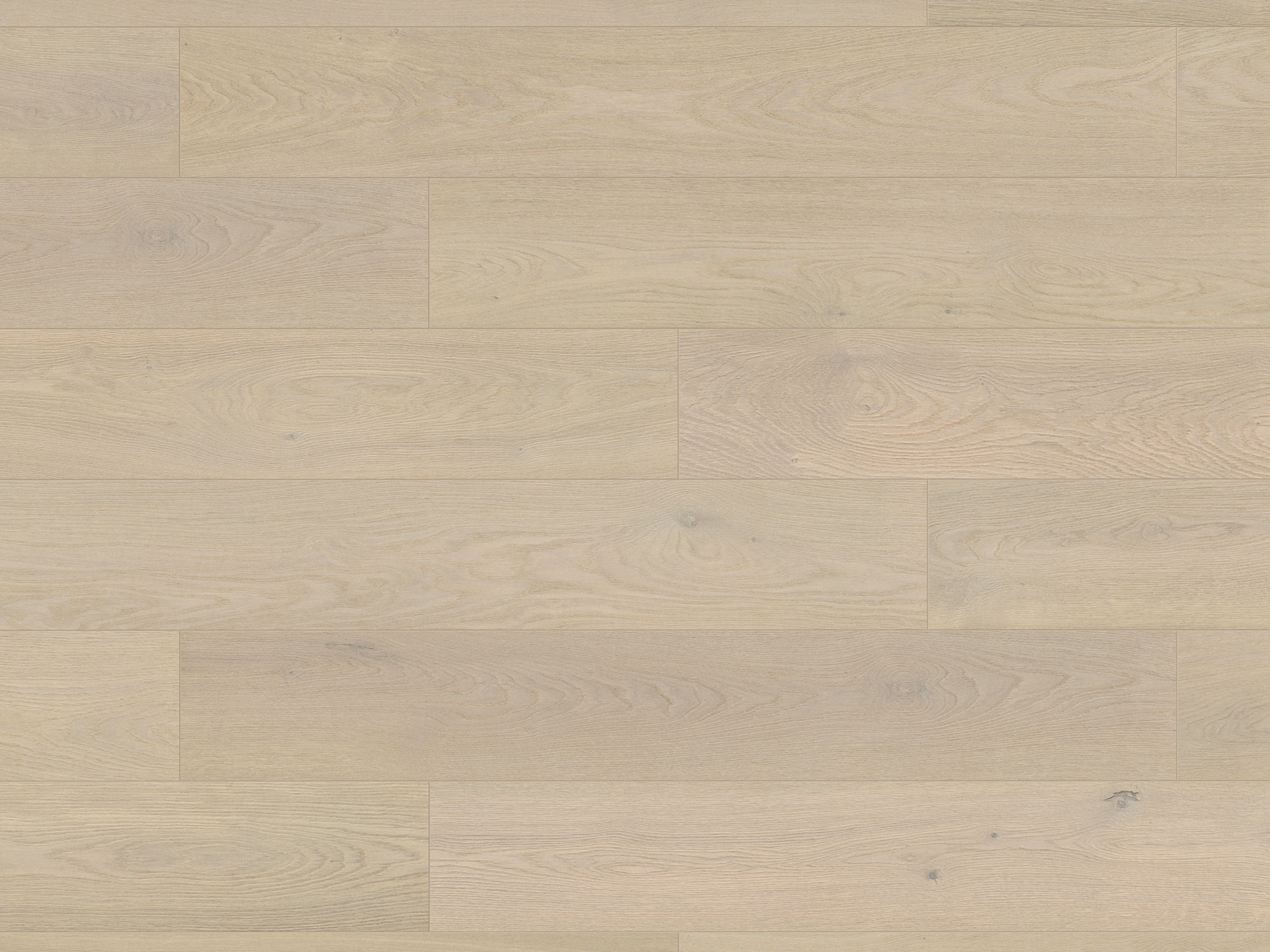 Rope Etheral Oak K669 Landhausdiele Laminat mit Fase Atlantic 10 - mit MO.RE KronoOriginal 