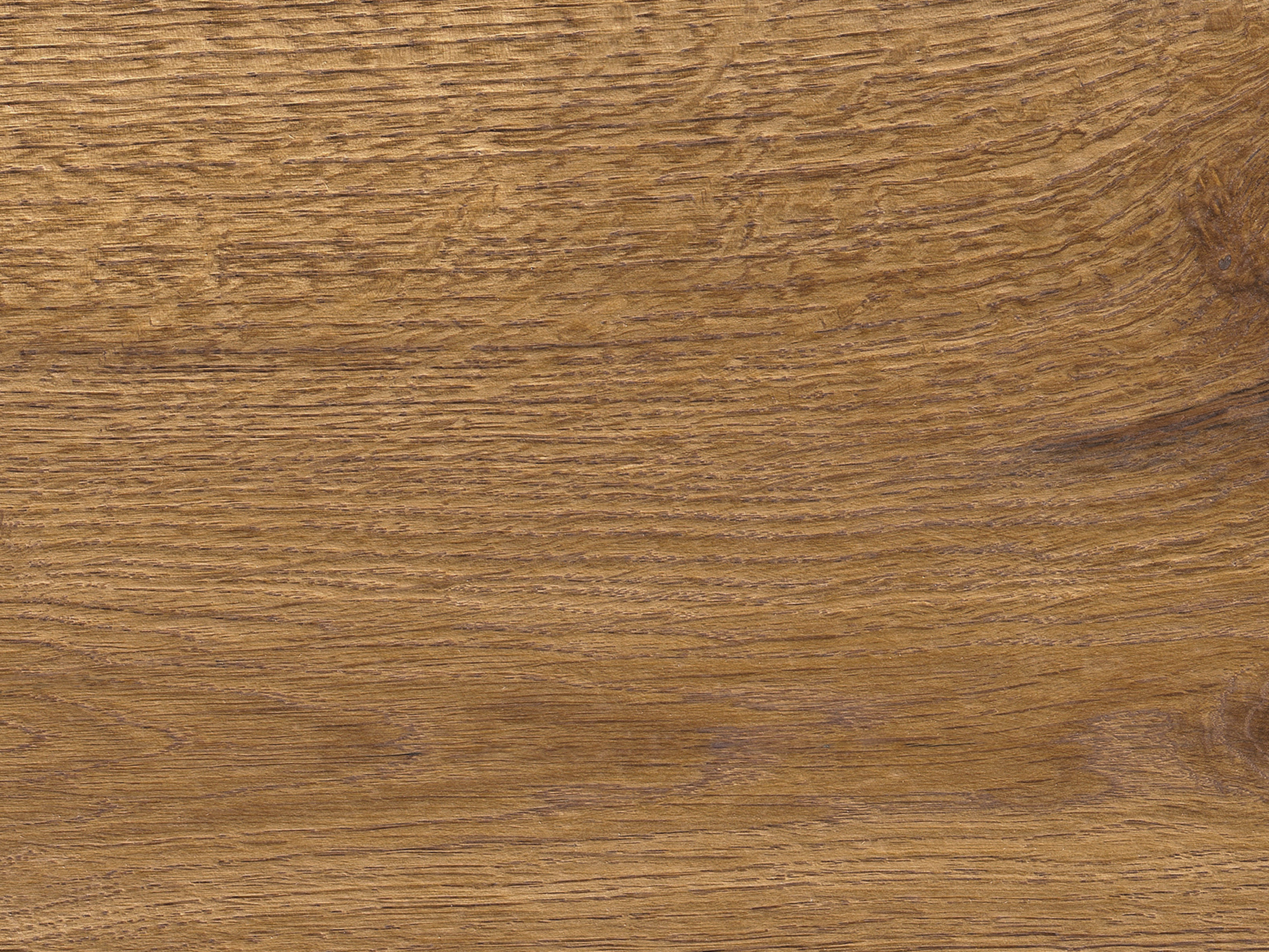 Kork Designboden Wood Basic - Ginger Wood Camel, digitalbedrucktes Korkfurnier