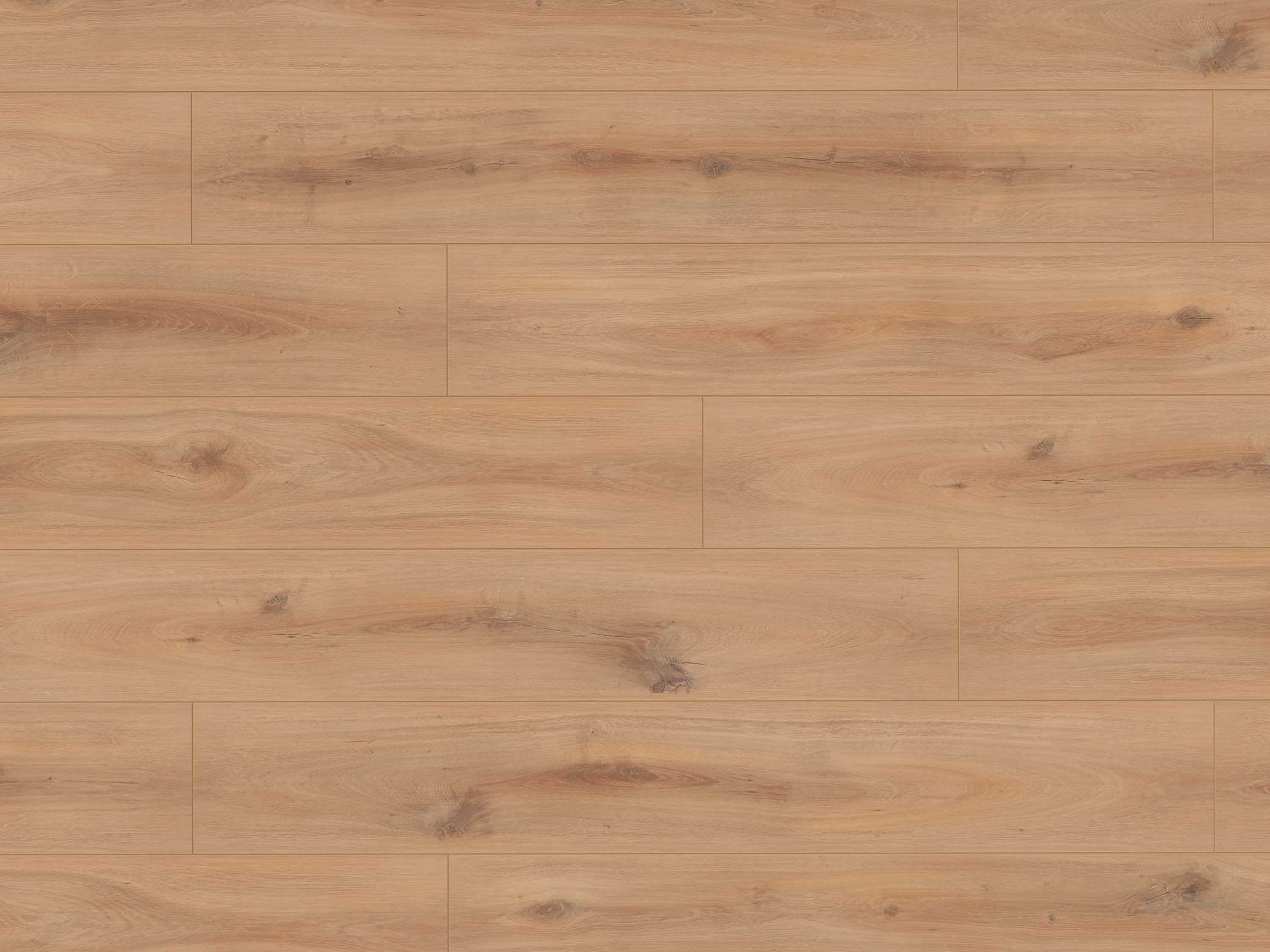Klick-Designboden Golden Vista Oak K230 Organic Classic 8 mm, mit O.R.C.A Technologie