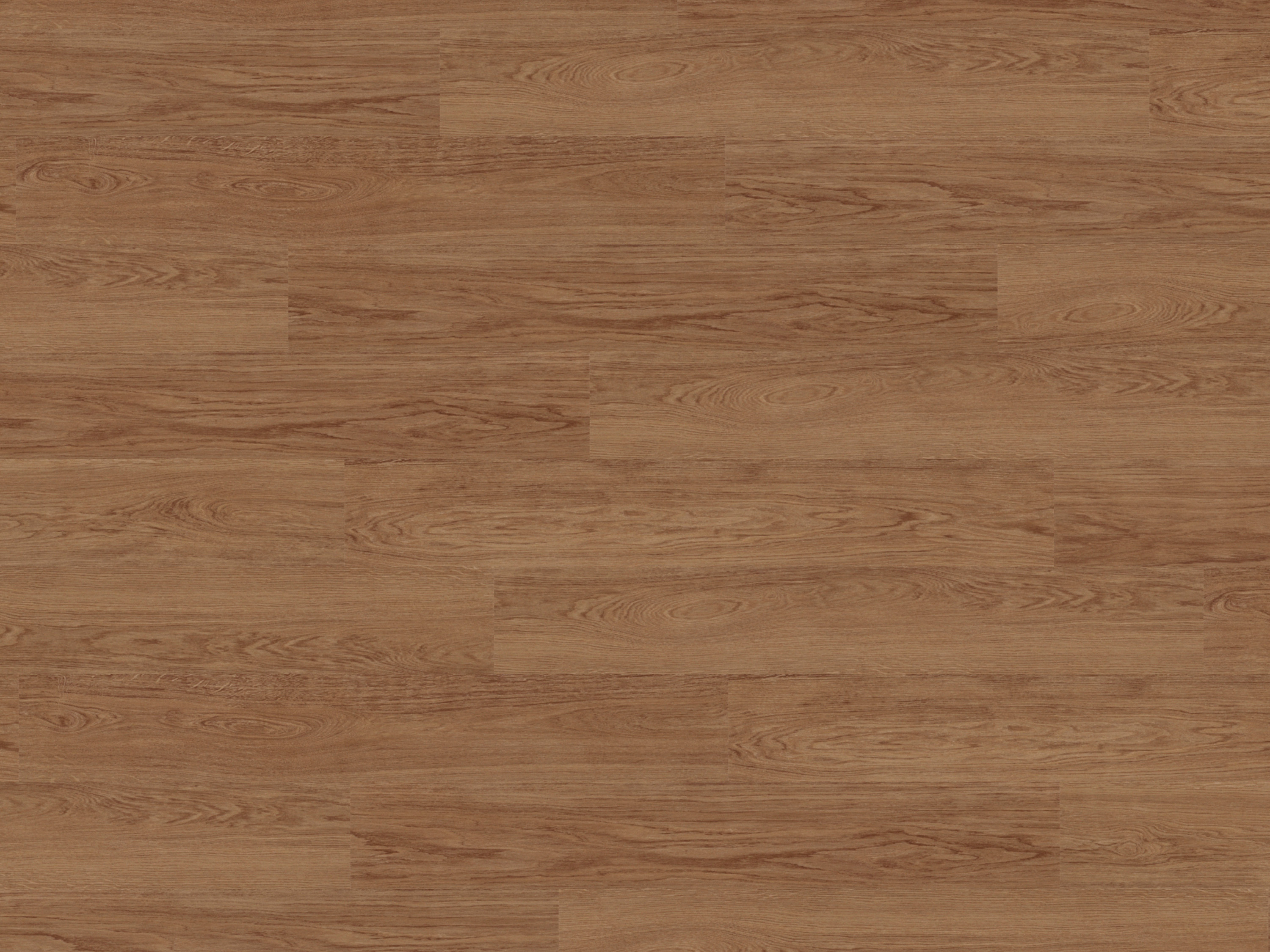 Kork Designboden Wood Basic - Elegant Oak, digitalbedrucktes Korkfurnier