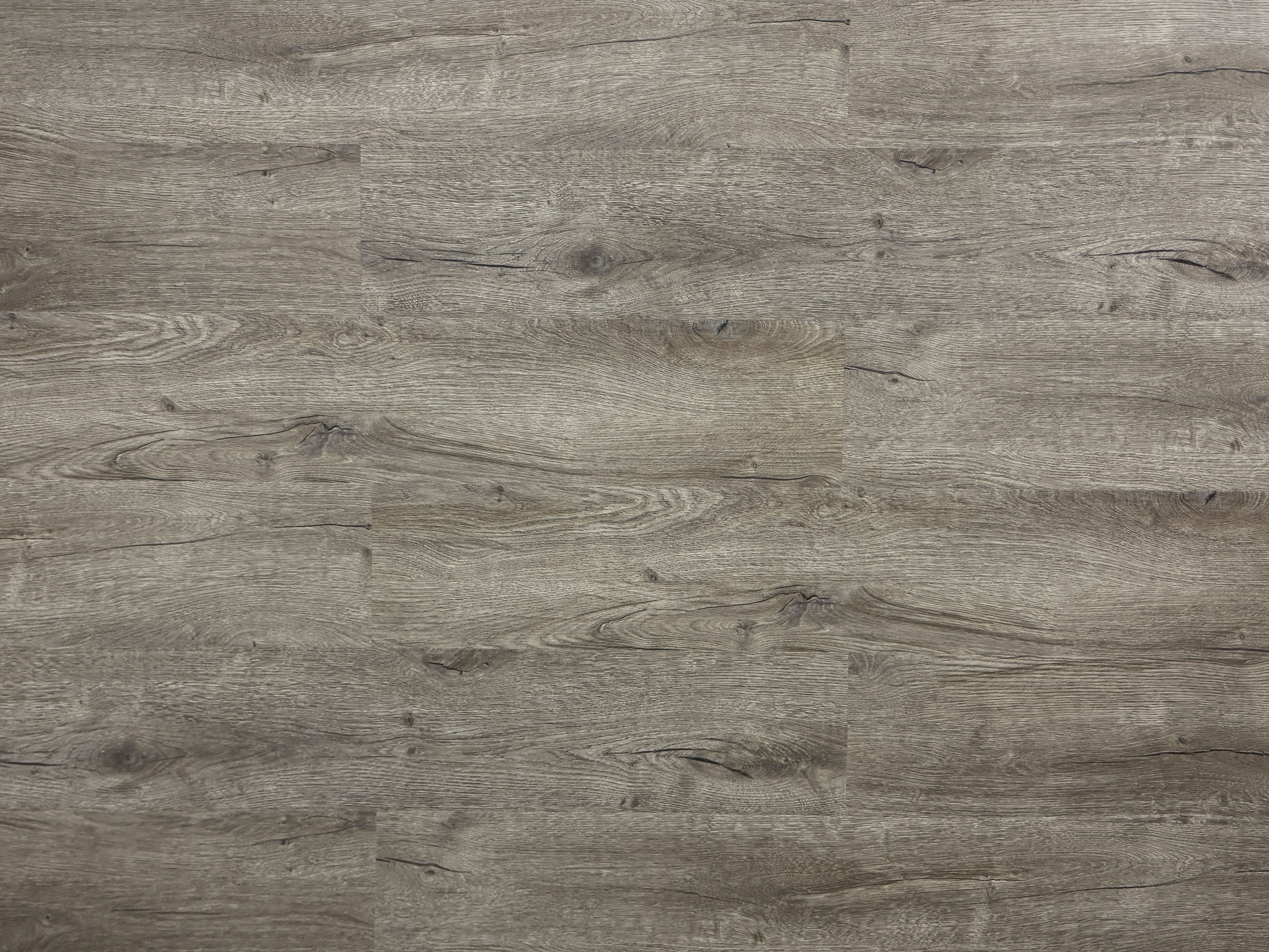 TRECOR® SPC / RIGID Klick Vinylboden Prestige Eiche Grau Landhausdiele - 5 mm - mit Synchronoberfläche