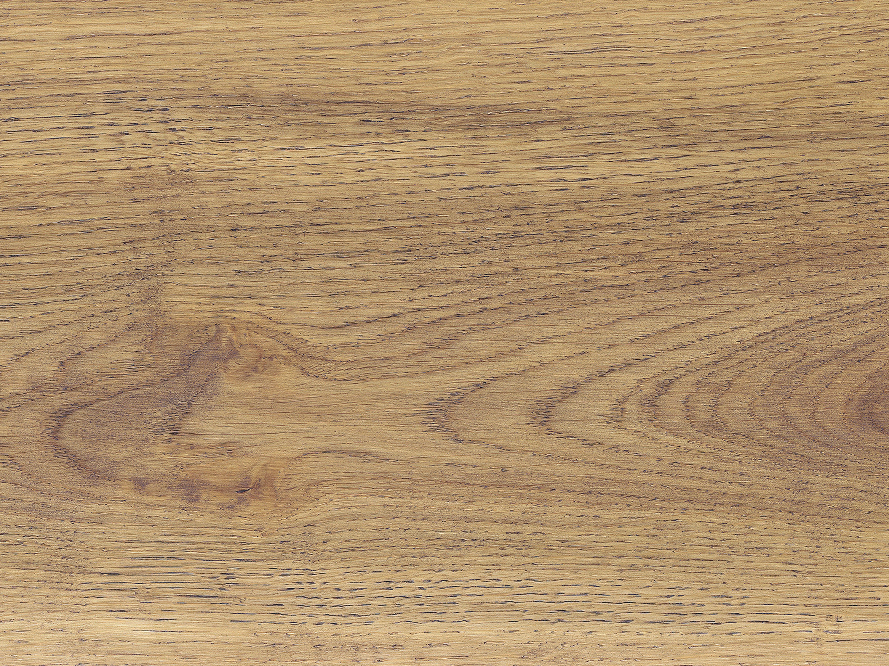 Kork Designboden Wood Basic - Ariana Oak, digitalbedrucktes Korkfurnier