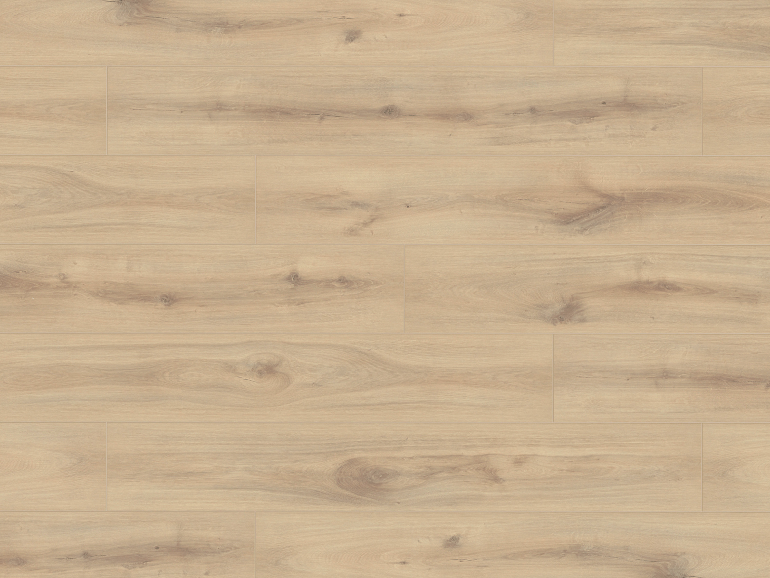 Laminatboden KronoOriginal® Super Natural WIDE - Organic Oak K063 - 8 mm Stark - Breitdiele
