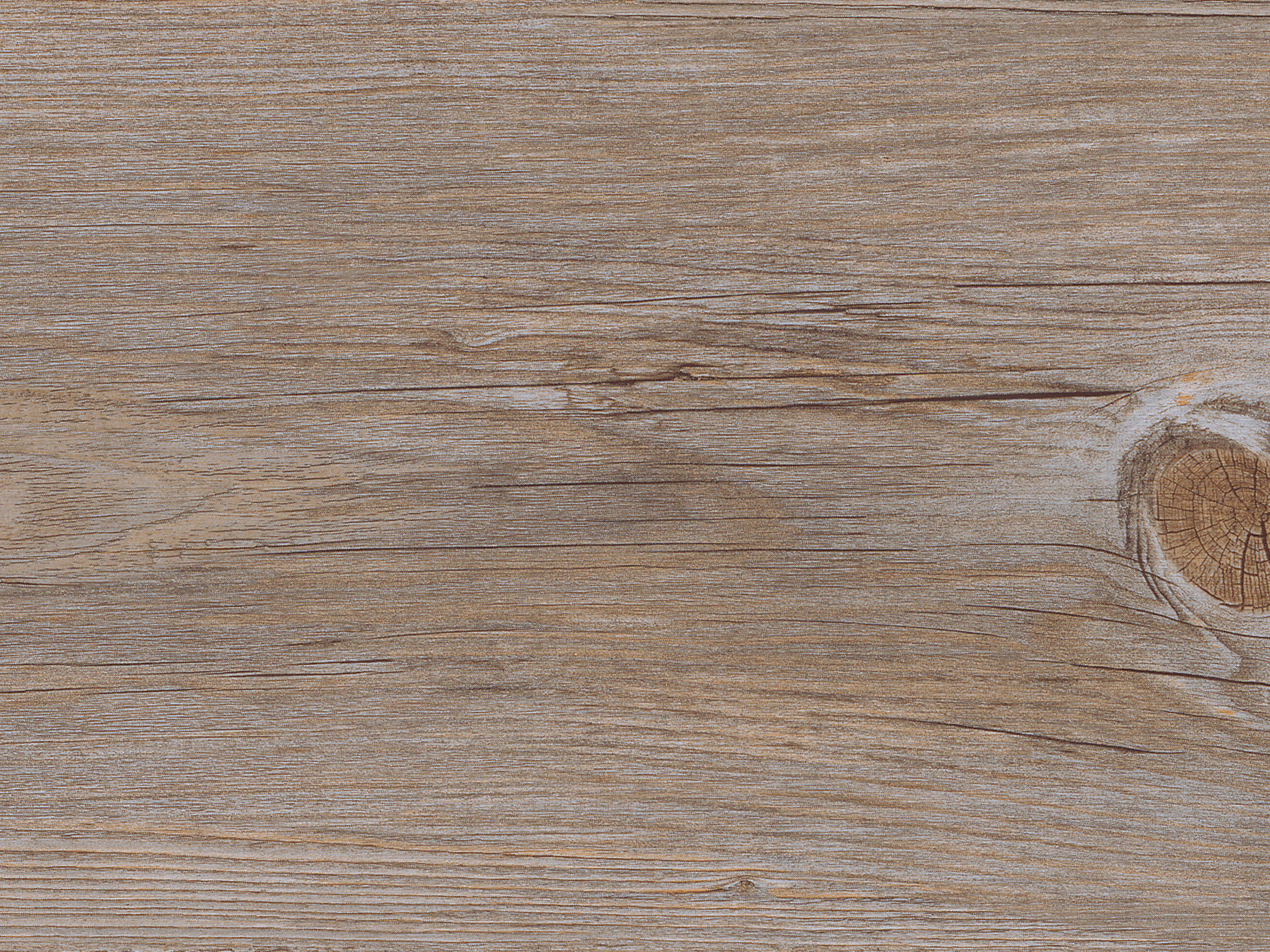 Kork Designboden Wood Basic - Alaska Oak, digitalbedrucktes Korkfurnier