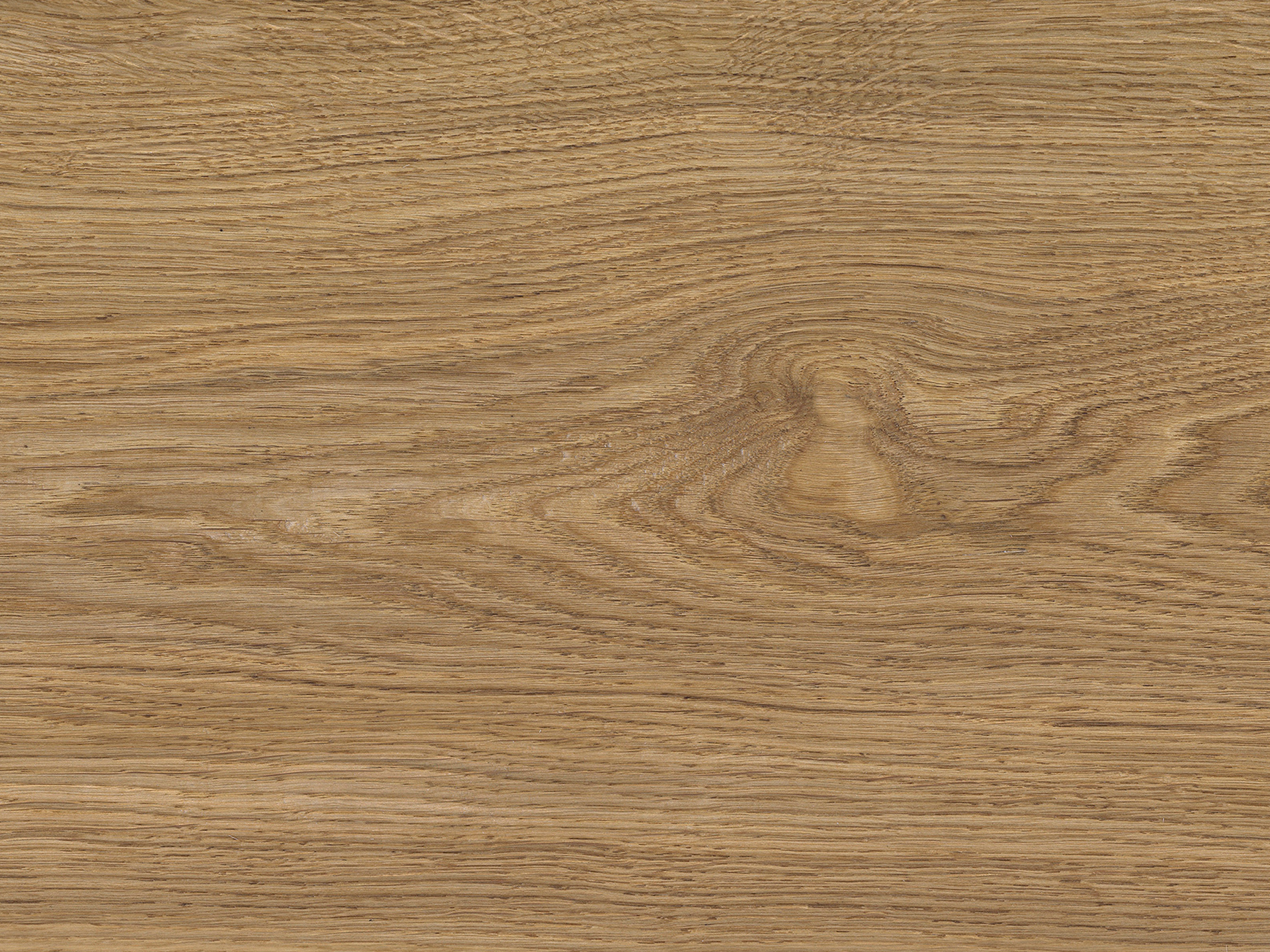 Kork Designboden Wood Basic - Epoca Oak Dark Almond, digitalbedrucktes Korkfurnier