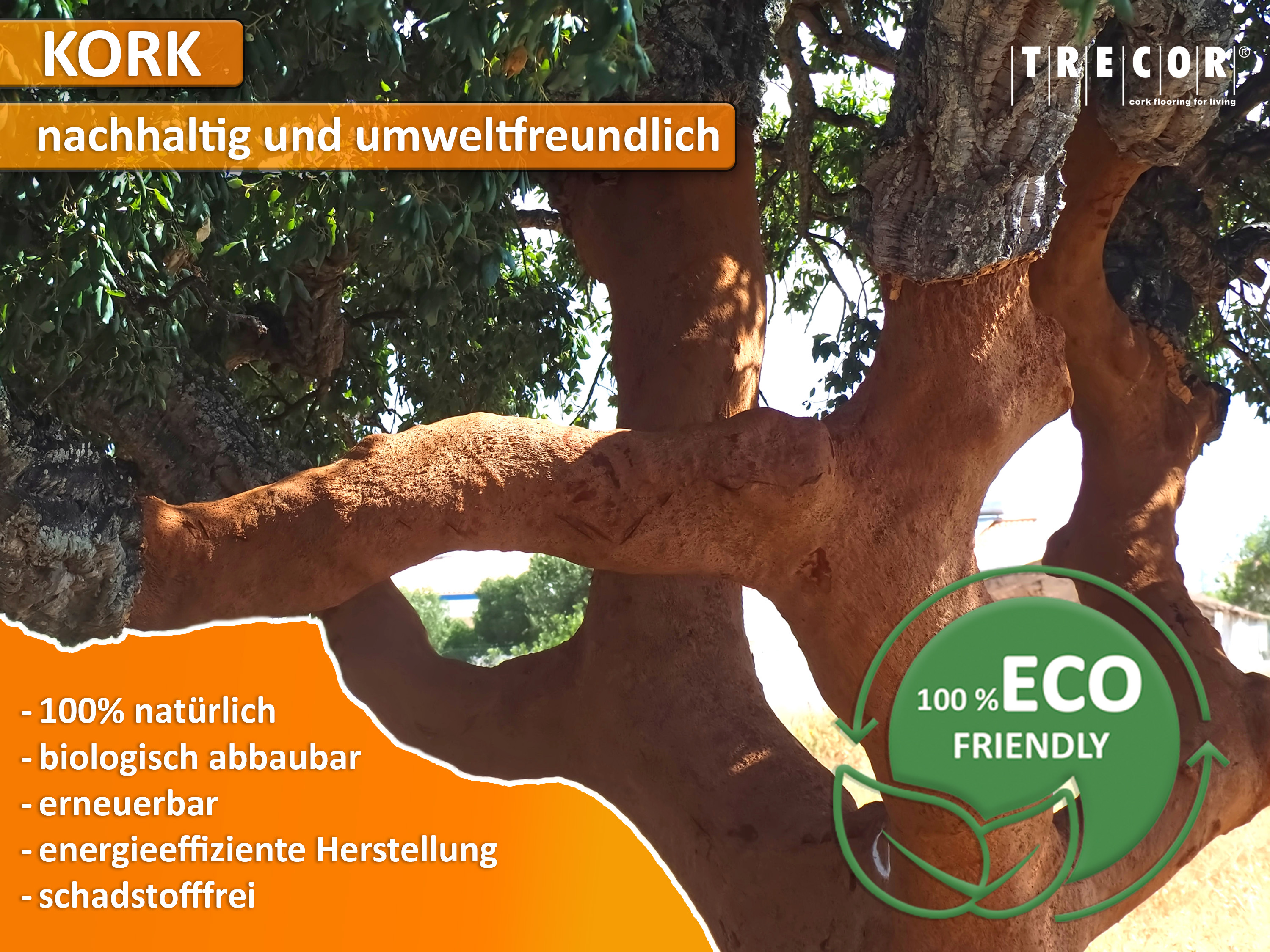 TRECOR® Rollenkork Kork Trittschalldämmung Korkunterlage