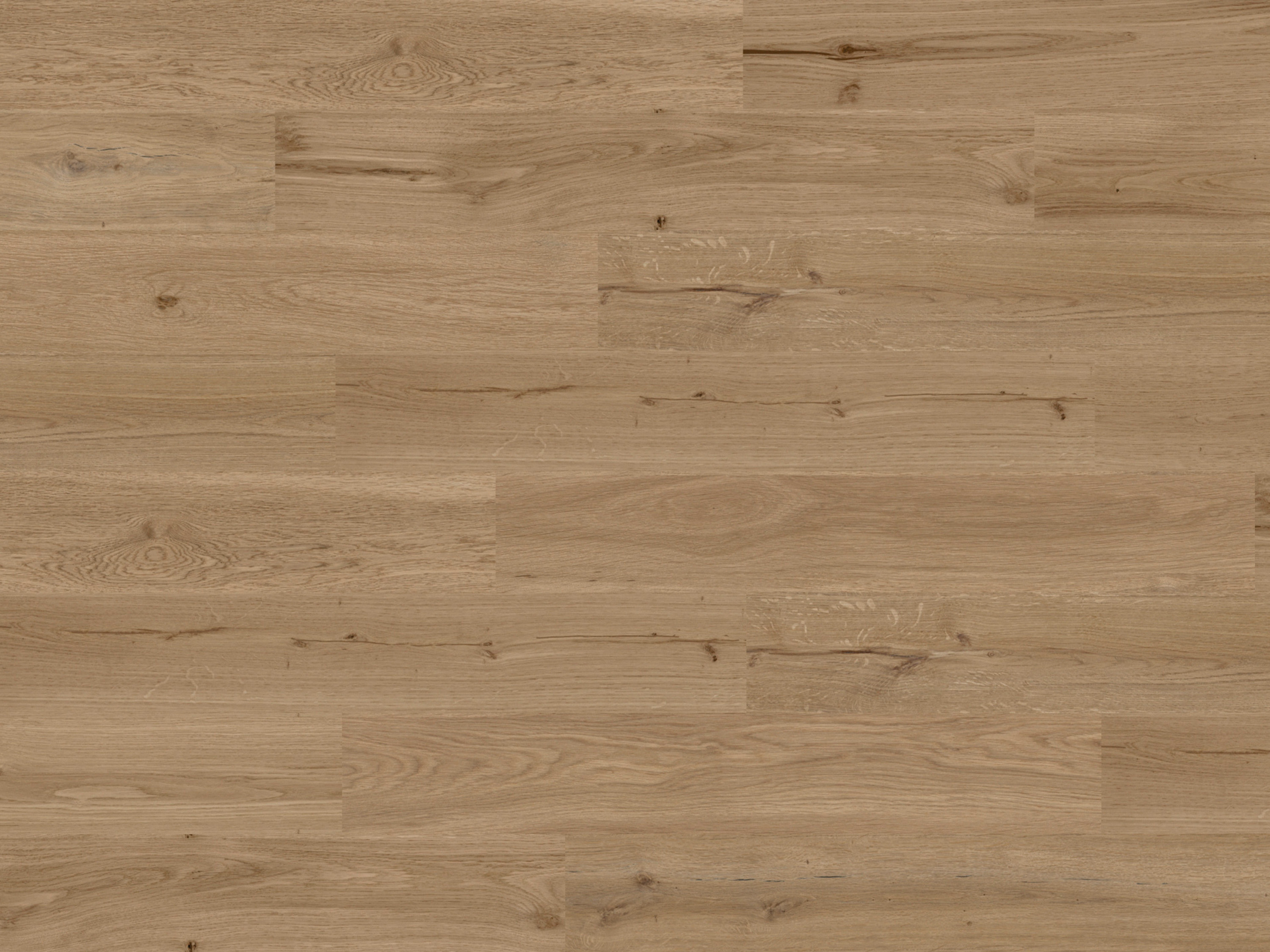 Kork Designboden Wood Basic - Dakota Oak, digitalbedrucktes Korkfurnier