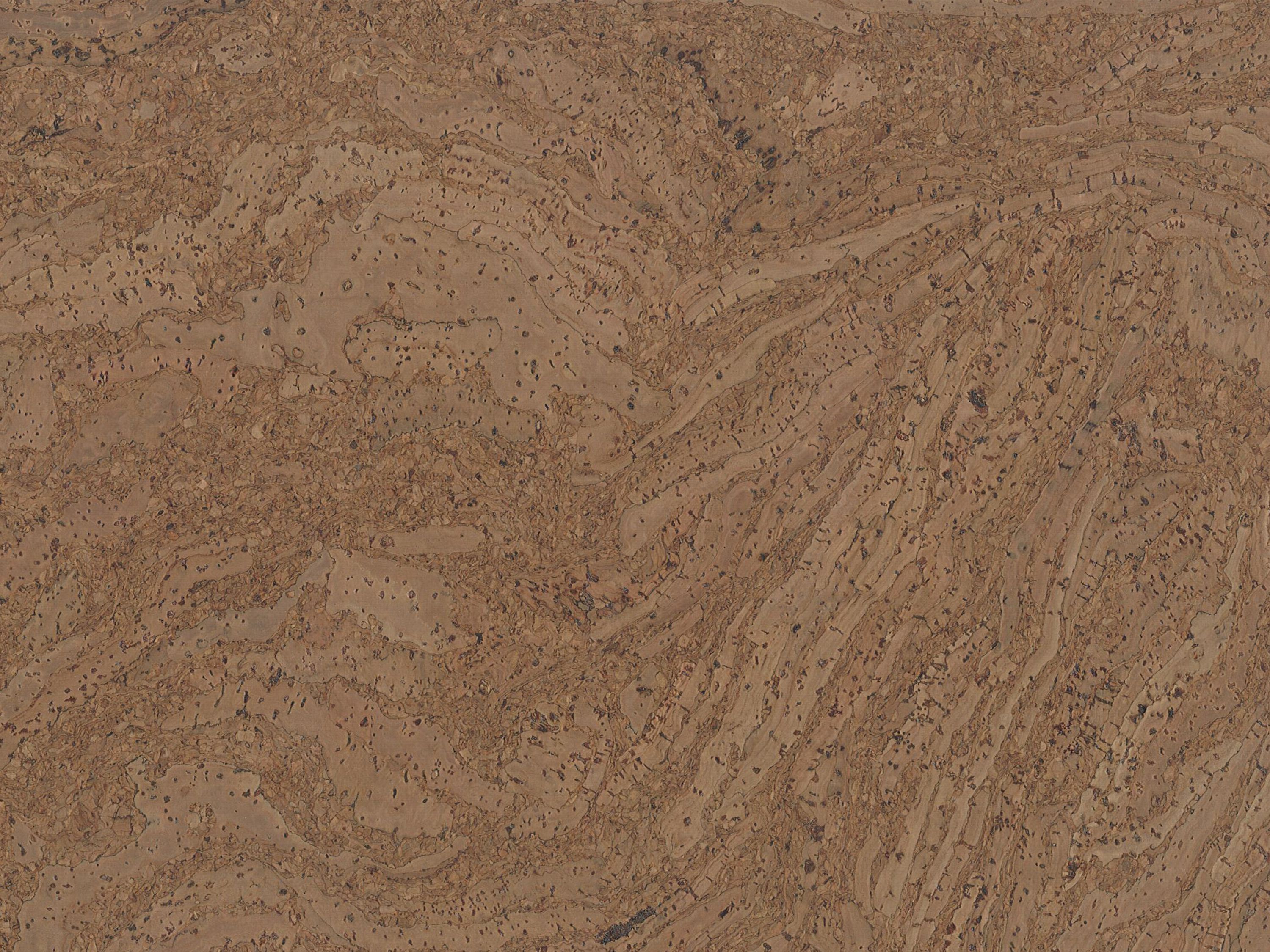 TRECOR® CLASSIC Klebe Korkboden Stilo Stärke: 4 mm - Farbe: Hellgrau