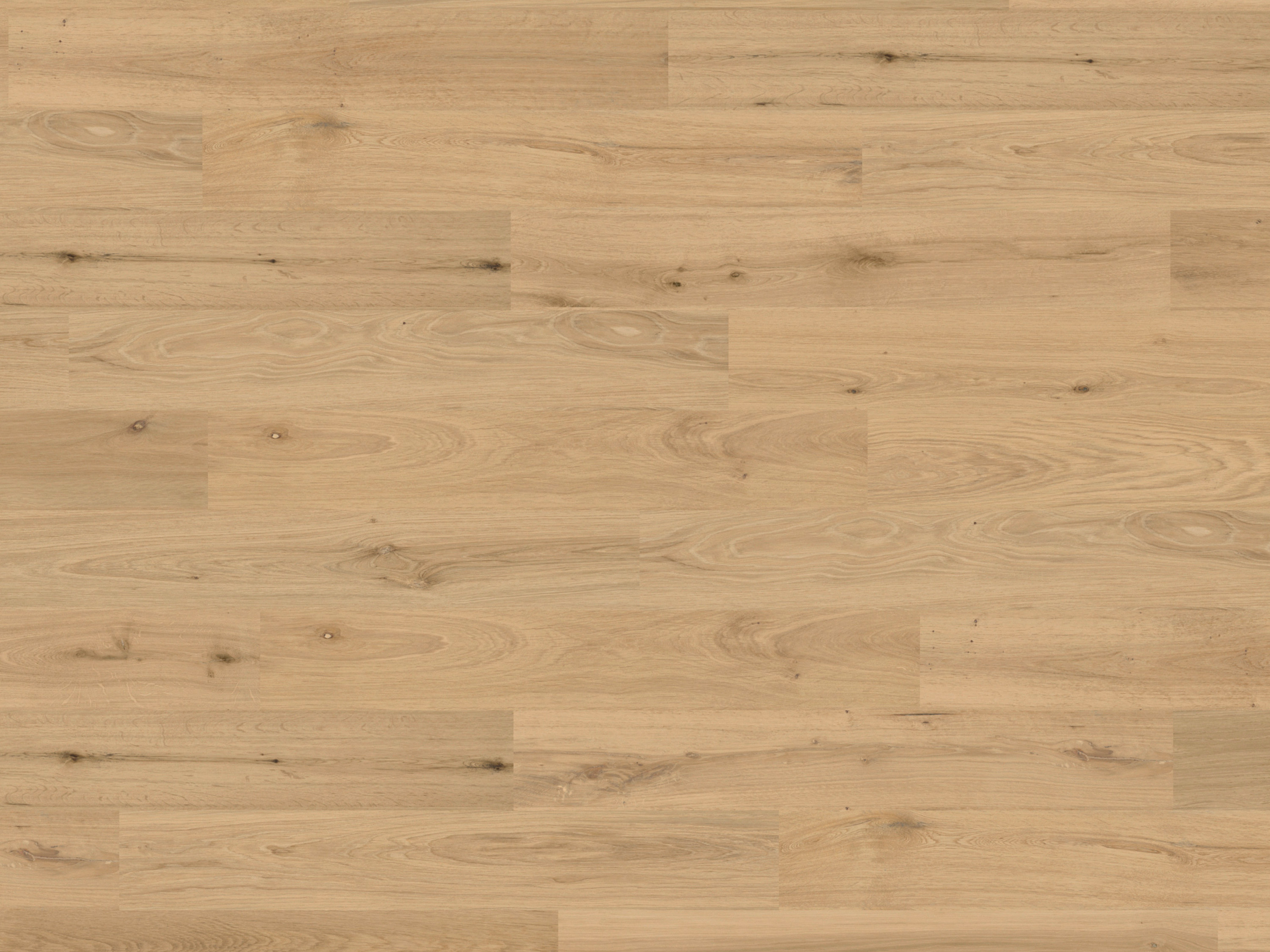 Kork Designboden Wood Basic - Natural Oak Almond, digitalbedrucktes Korkfurnier