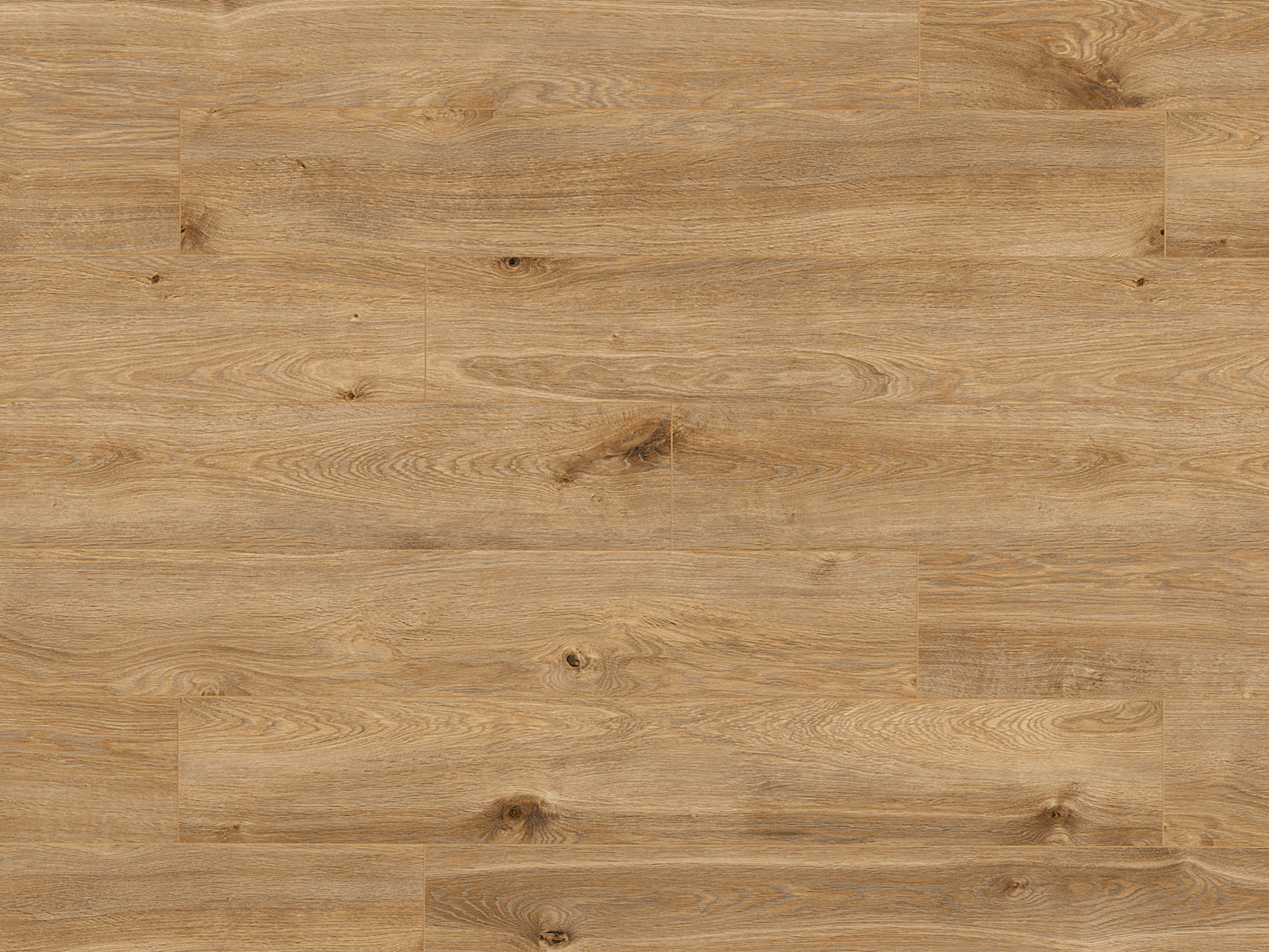 Klick-Designboden Solar Oak K405 Organic Classic 8 mm, mit O.R.C.A Technologie