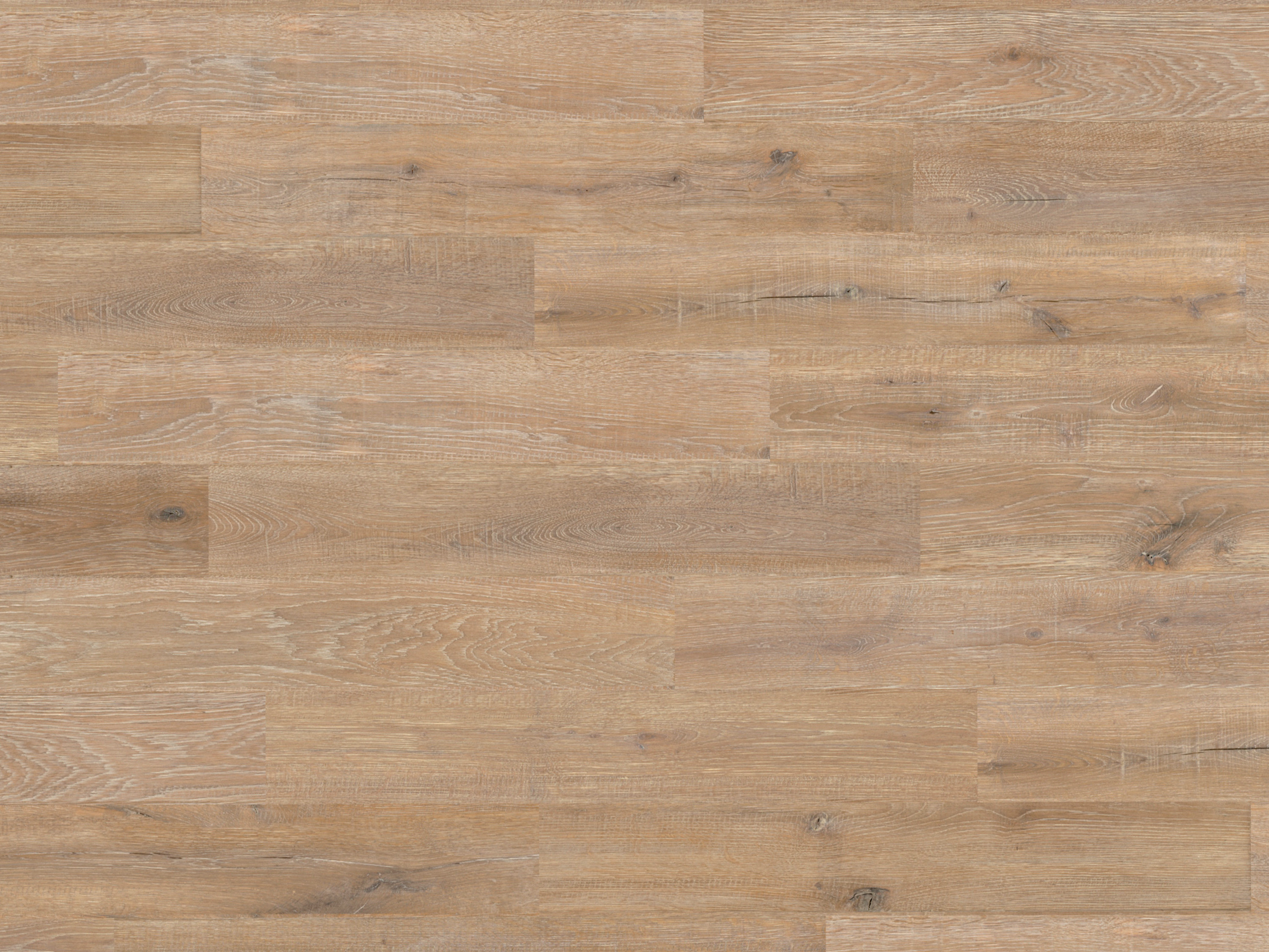 Kork Designboden Wood Basic - Farnia Oak Savannah, digitalbedrucktes Korkfurnier