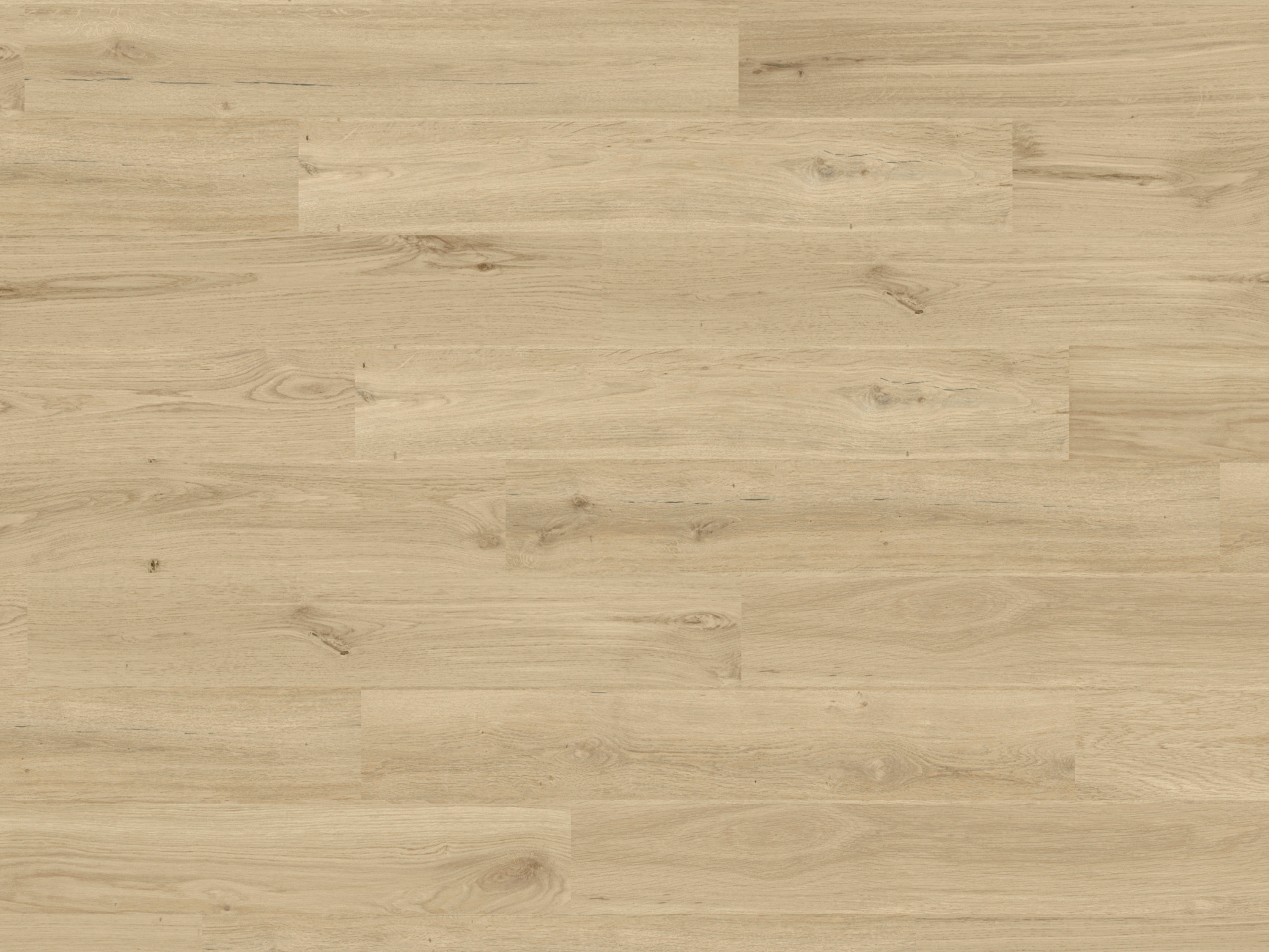 Kork Designboden Wood Basic - Dakota Oak Sand, digitalbedrucktes Korkfurnier