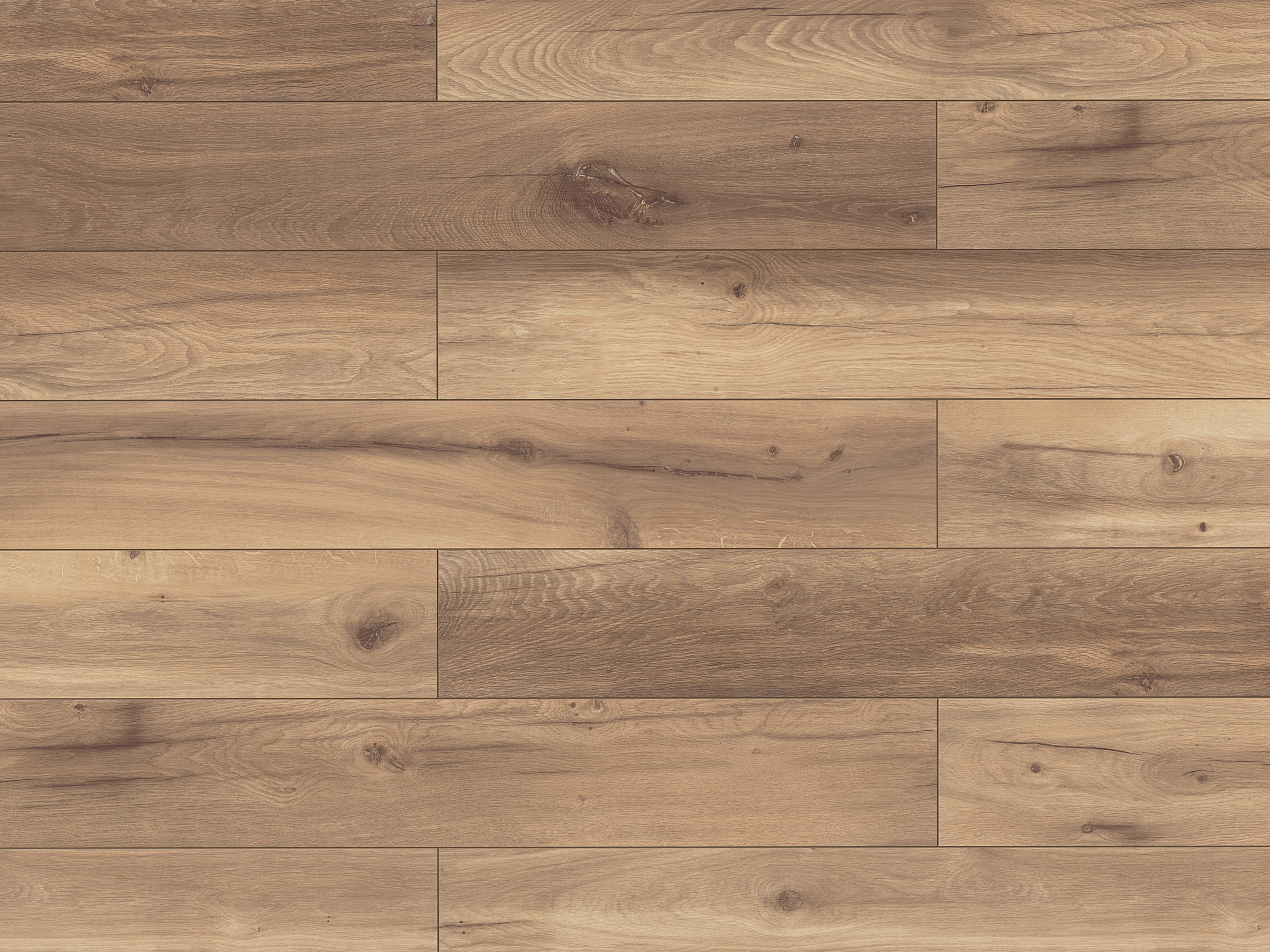Klick-Designboden Wild West Oak K224 Organic Classic 8 mm, mit O.R.C.A Technologie