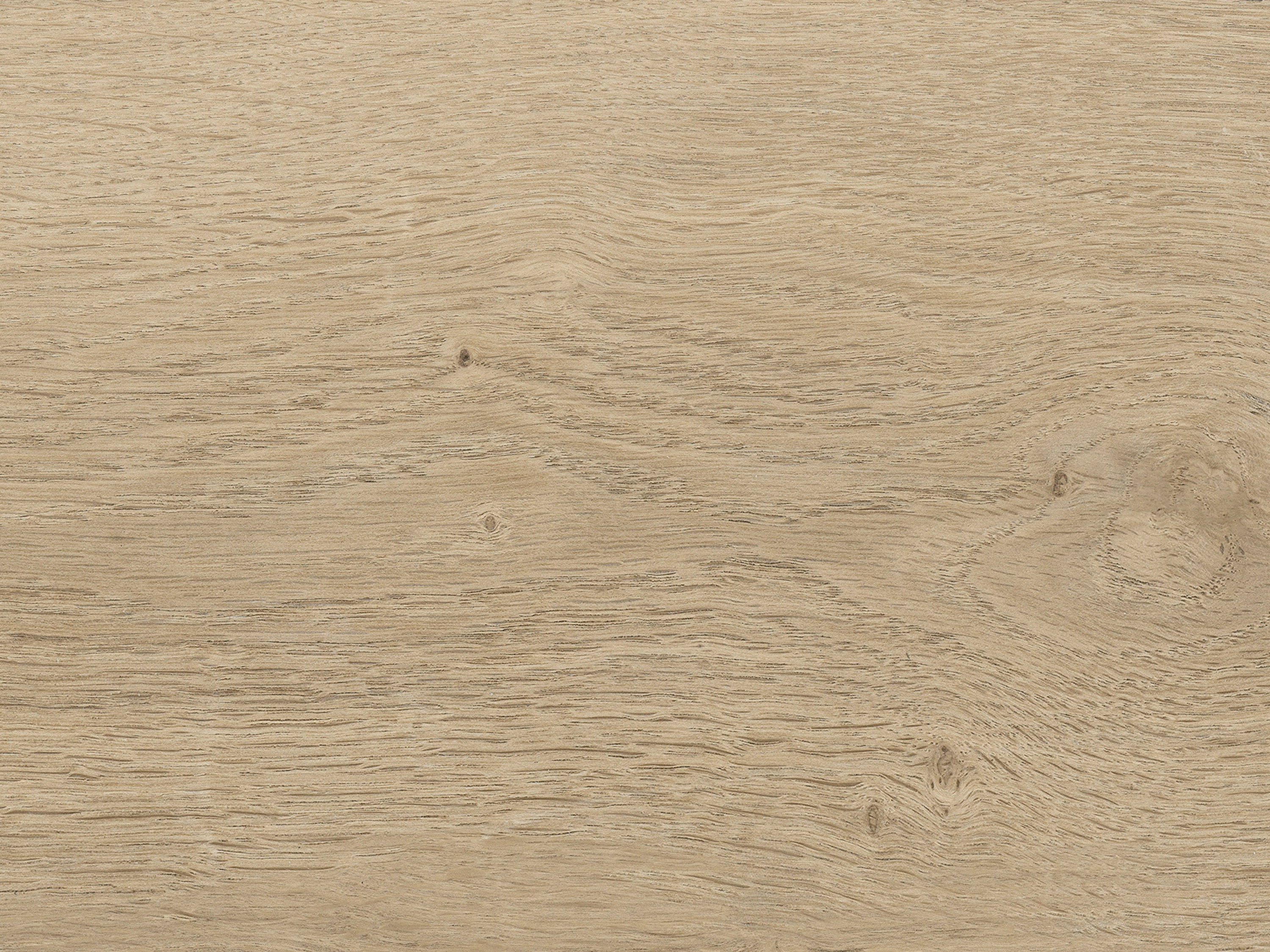 Kork Designboden Wood Basic - Dakota Oak Sand, digitalbedrucktes Korkfurnier