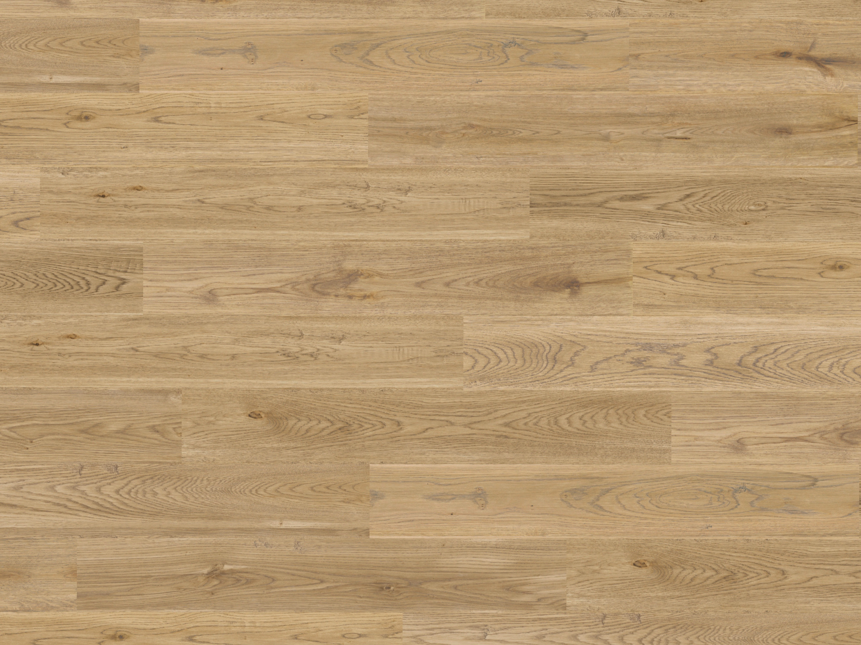 Kork Designboden Wood Basic - Essential Oak, digitalbedrucktes Korkfurnier