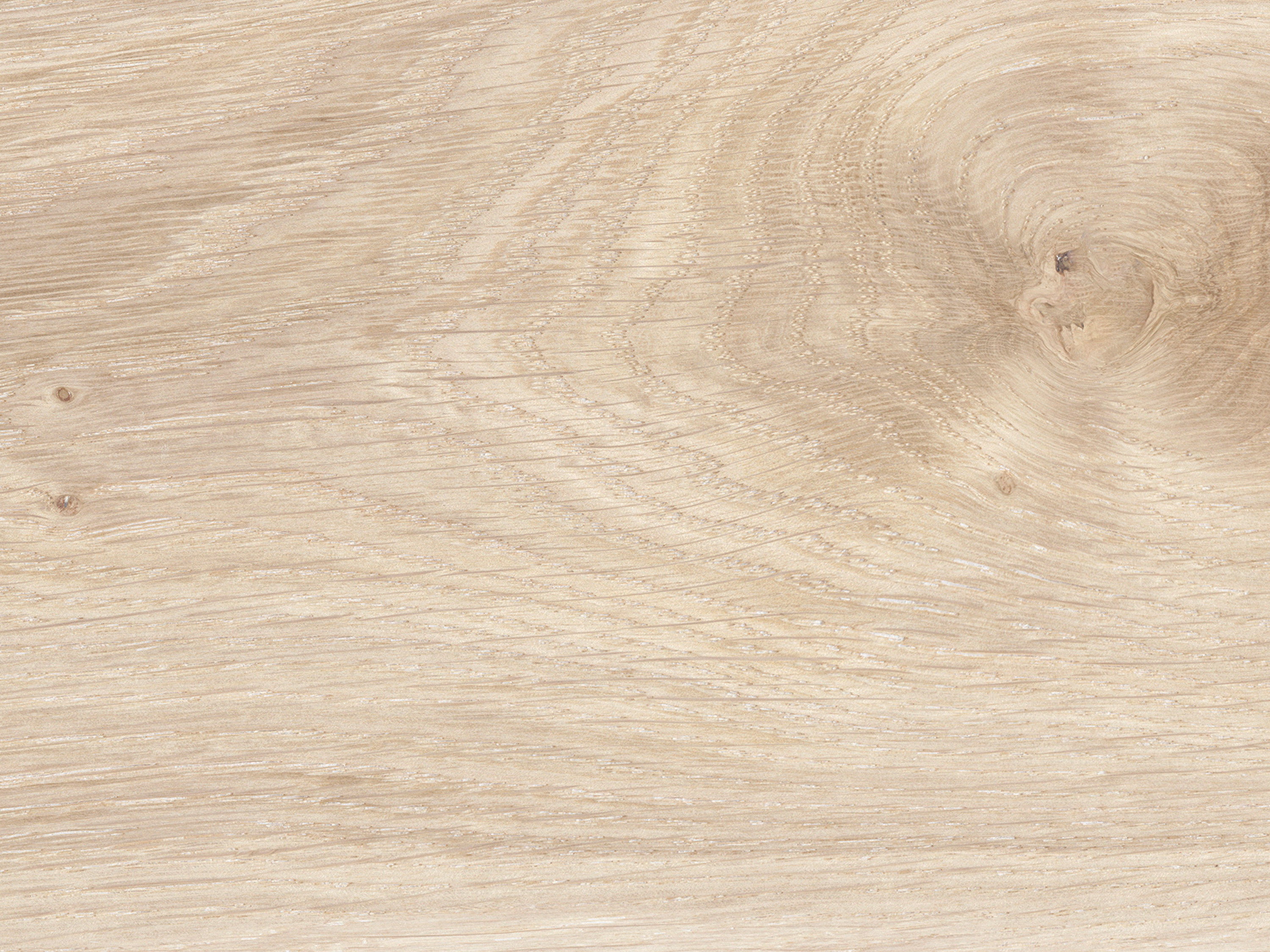 Kork Designboden Wood Basic - Panama Oak Light Sand, digitalbedrucktes Korkfurnier