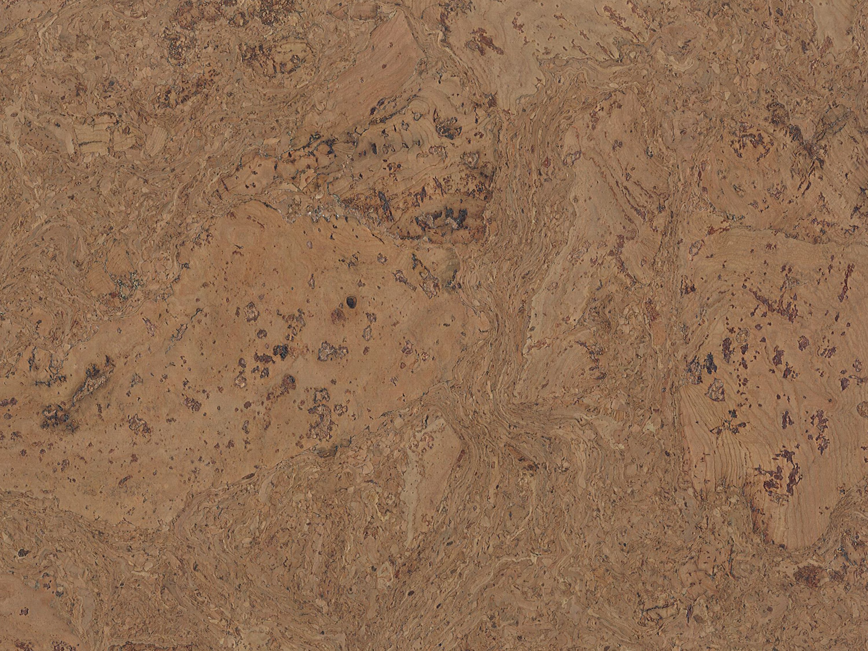 TRECOR® Klick Korkboden Varese - 10 mm Stark - Farbe: Hellgrau