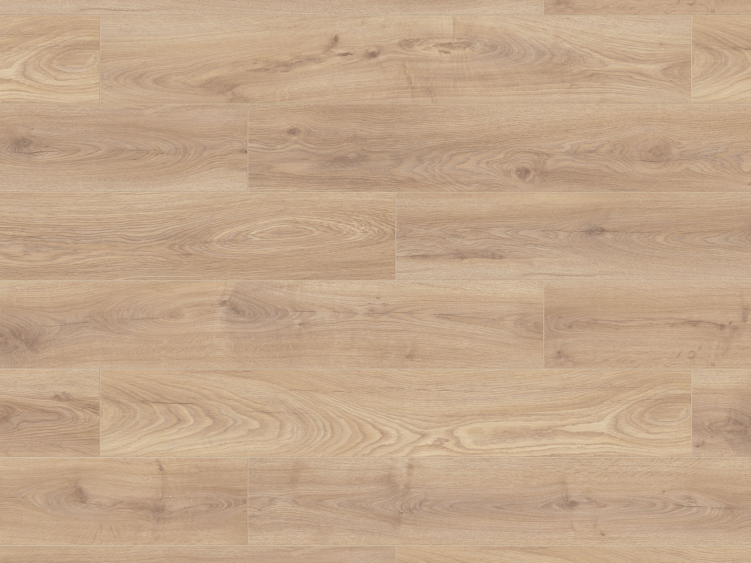 Laminatboden Biscotti Oak K453 (HO) Super Natural Classic by Krono Original, Stärke: 8 mm