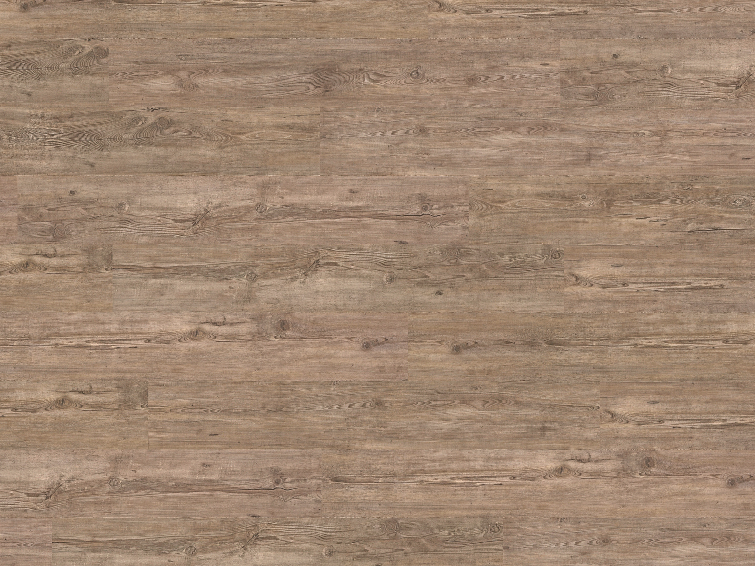 Kork Designboden Wood Basic - Highland Pine, digitalbedrucktes Korkfurnier